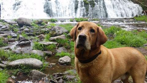 Egypt Falls